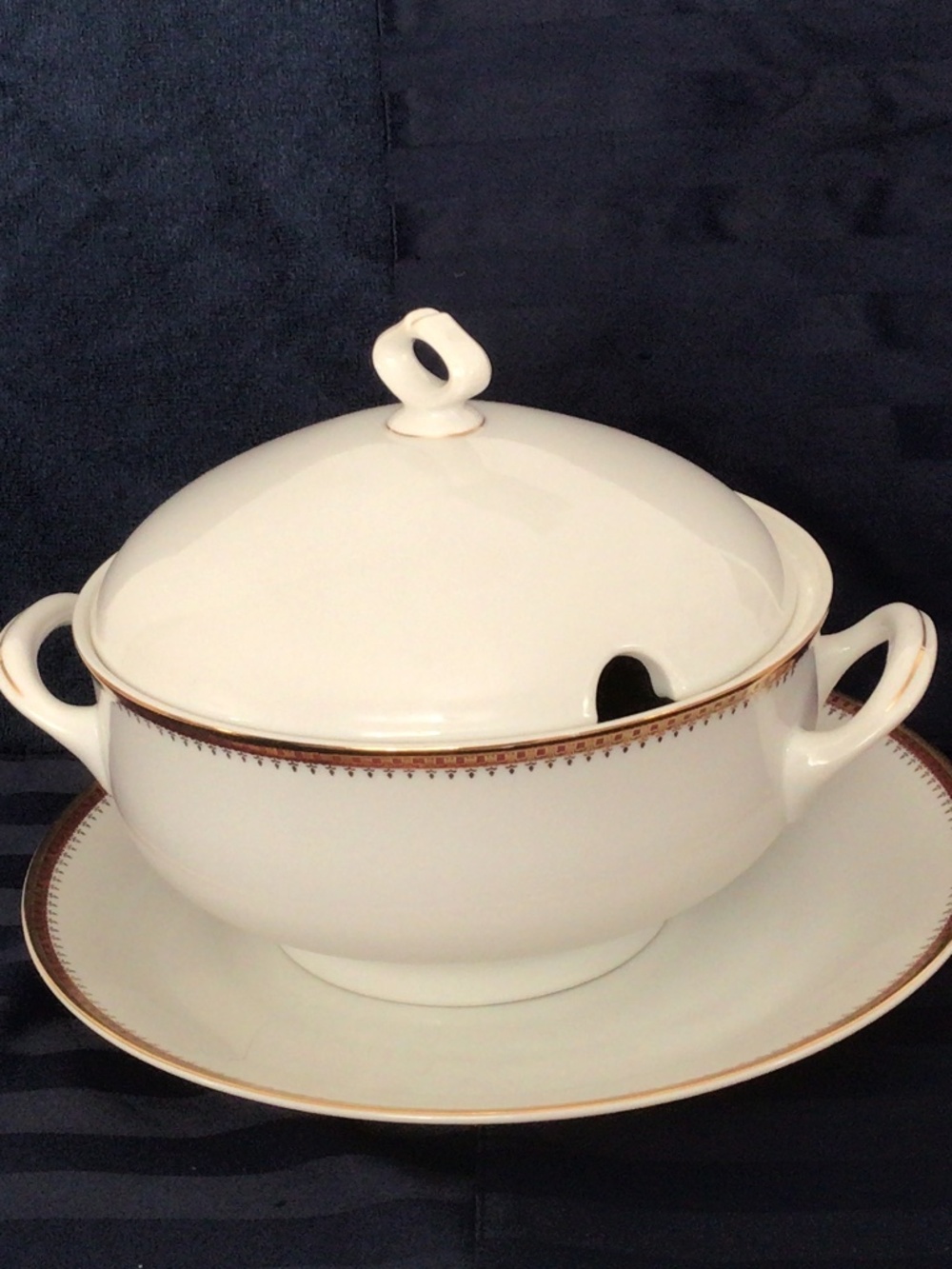 Vintage Porcelain Fine De Boheme Souptureen w/Lid & Plate
